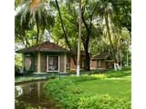 নক্ষত্র দেখে ঘর বেছে দেয় যে গ্রাম, ভারতের কেরালার কৈরালি—পঞ্চকর্ম, যোগ ও ধ্যান একসঙ্গে দক্ষিণ ভারতের রিট্রিট