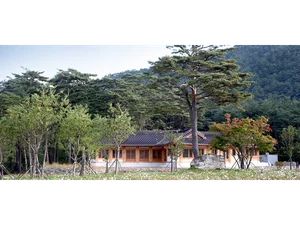 A 700 metri di altitudine, svuota la mente nel villaggio di meditazione nella foresta di abeti dell’Odaesan
