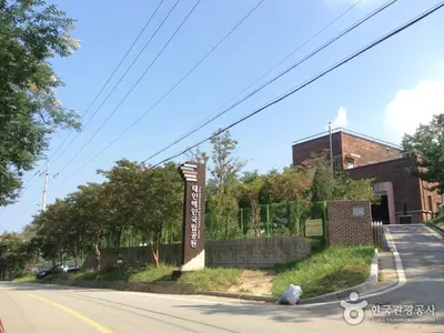 Milli parkın içindeki, denizin şifanın hammaddesine dönüştüğü yer: Taean Deniz Şifa Merkezi