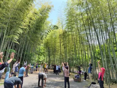 Kamakura se convierte en un centro de meditación: ocho días de Mindful City en el décimo aniversario de Zen2.0