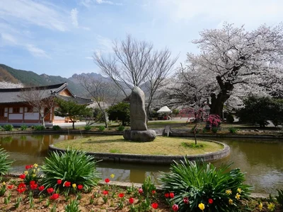韩国全罗南道培育五处千年古刹 打造世界级禅修旅游枢纽