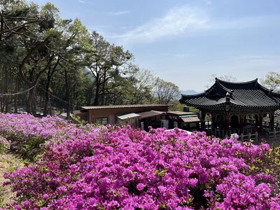 금천구 호압사 일대 호암산자락에 ‘바라밀공원’ 개장, ‘숲속명상쉼터’ 조성,