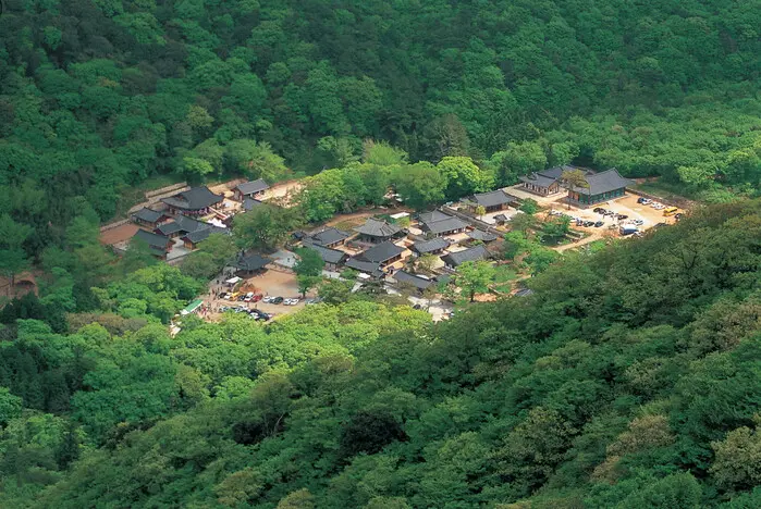 Meditation tourism temple stay healing body and mind with tea and meditation at the World Heritage Daeheungsa
