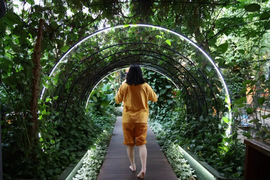 Giardino del Mirinae Healing Club a Yangpyeong Health Tour (foto fornita dall'Ente Nazionale per il Turismo della Corea)