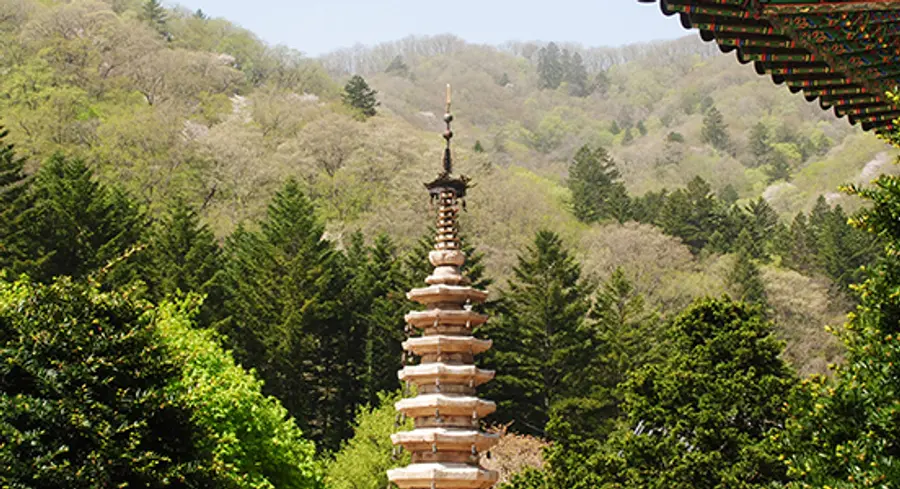 Fonte: Villaggio di Meditazione Naturale di Odaesan