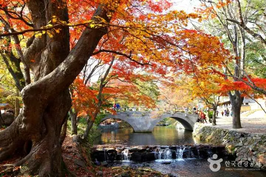 Fonte della foto: Organizzazione del turismo della Corea