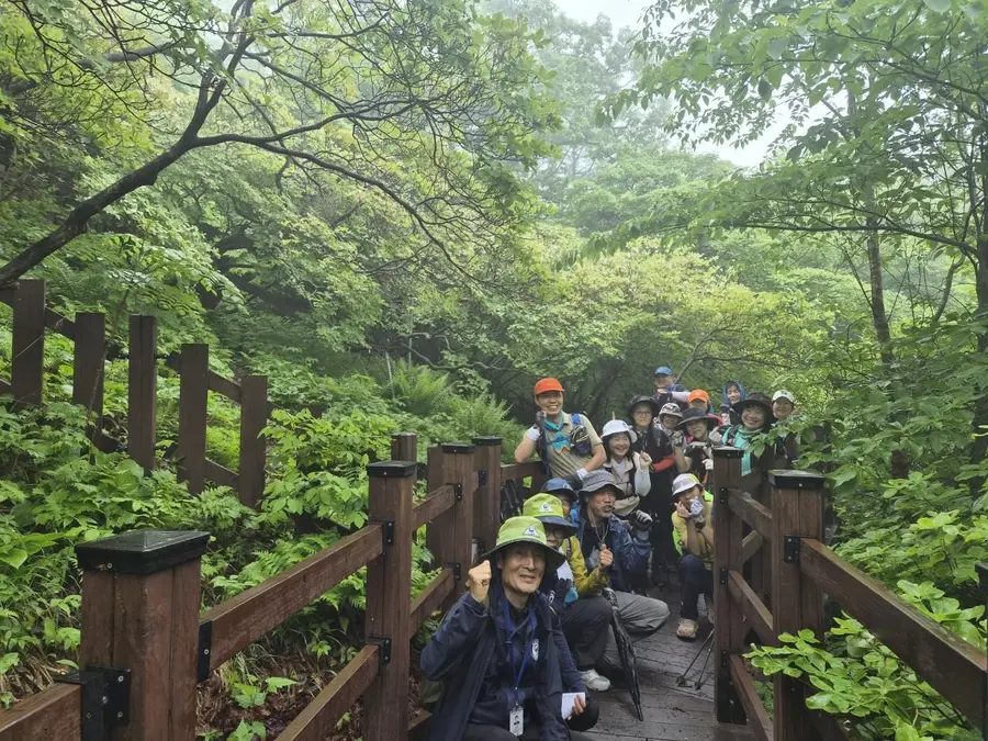 숲길을 함께 걷는 산림문화 프로그램 참가자들. 사진=한국산림복지진흥원 국립산림치유원 제공